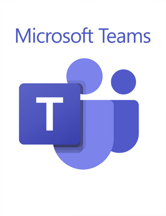 teams网页会议中文版